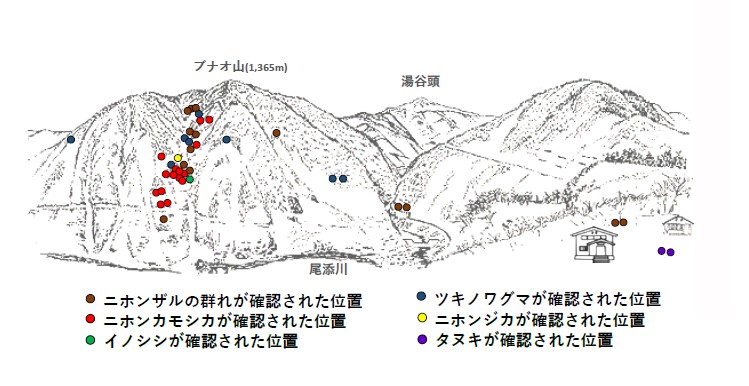 サル地図R511-1