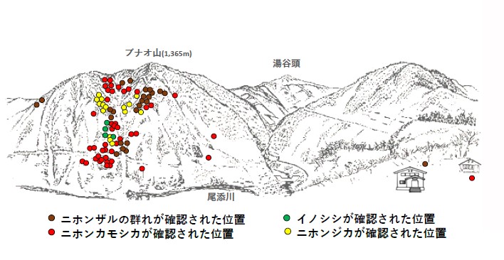 サル地図R512-1