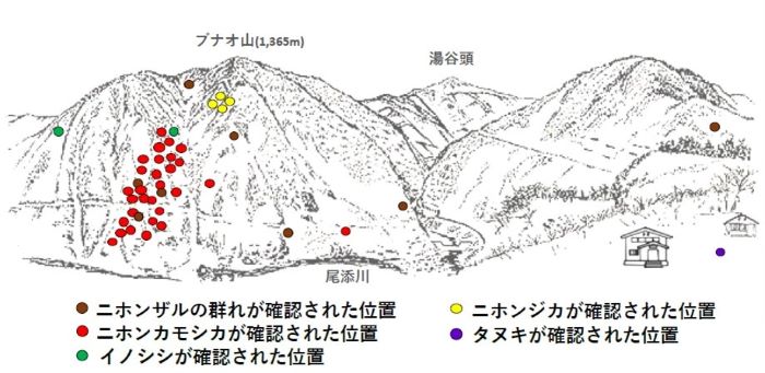 サル地図R5122a