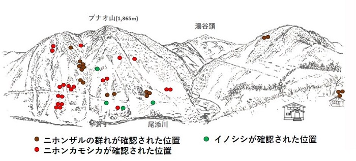 サル地図r512-3