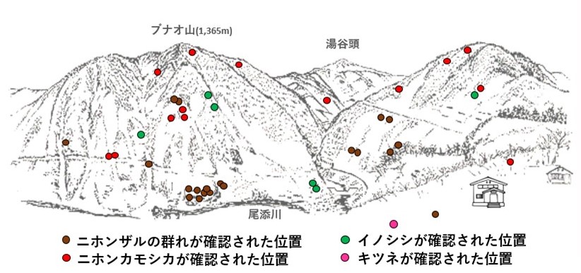 サル地図r601-3