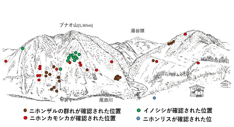 サル地図r602-1