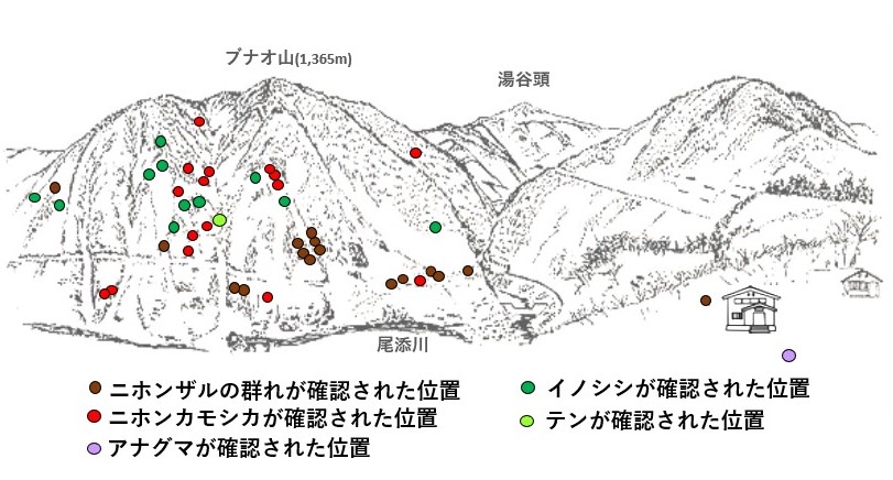 サル地図r603-2