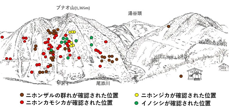 サル地図r603-3