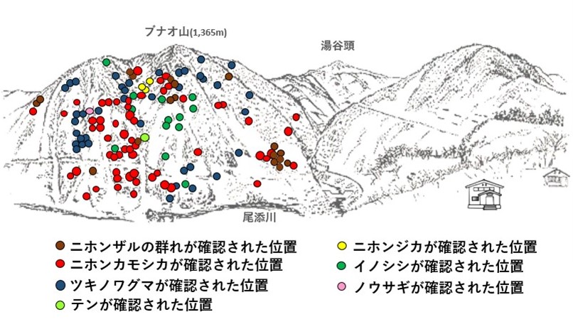 サル地図r604-1