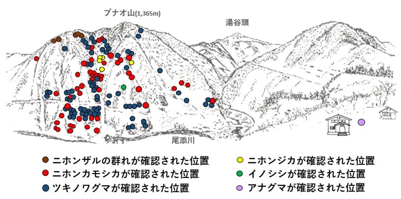 サル地図r604-2