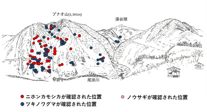 サル地図r604-3