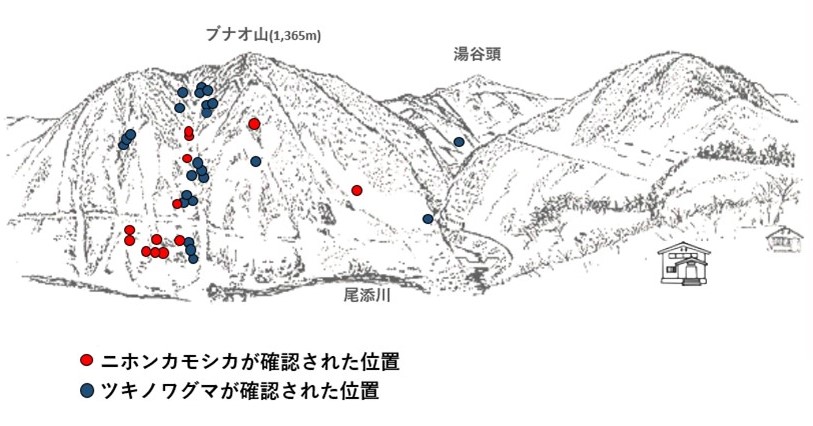 サル地図r605-1
