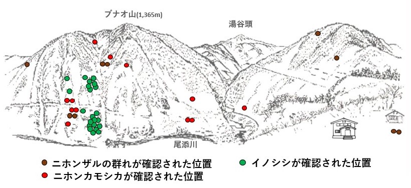 サル地図r61-1