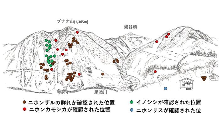 サル地図r61-2
