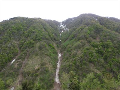 20250502新緑のブナオ山