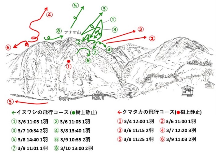 イヌワシ地図r703-1