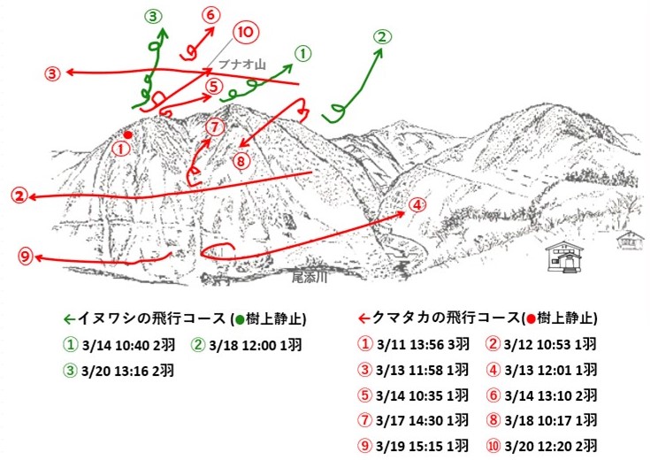 イヌワシ地図r703-2
