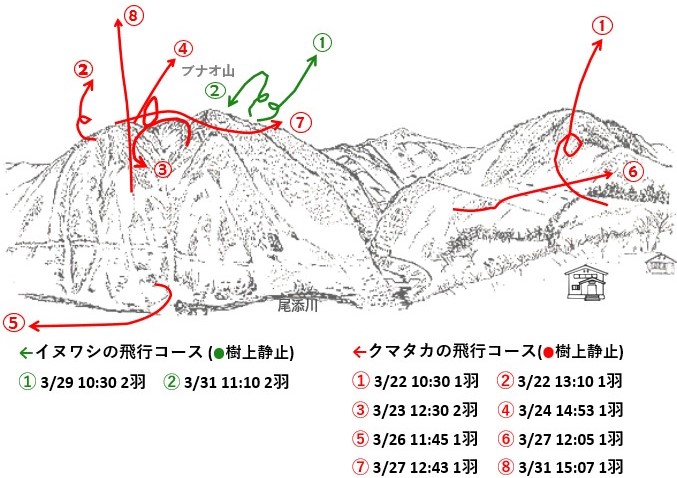 イヌワシ地図r703-3