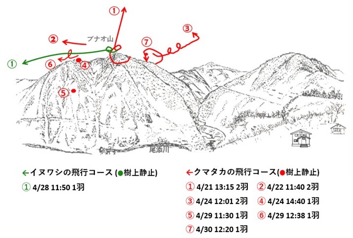 イヌワシ地図r074-3