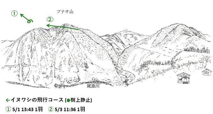イヌワシ地図r075-1
