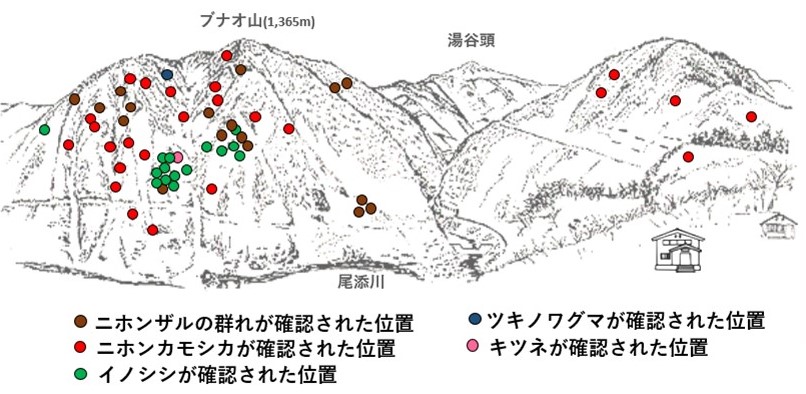 サル地図r703-1
