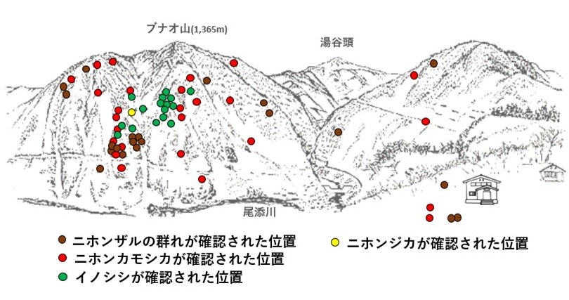 サル地図r703-2