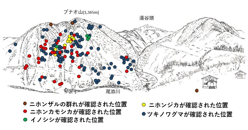 サル地図r704-3