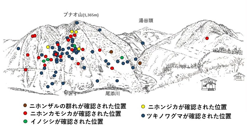 サル地図r705-1