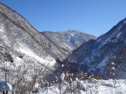 湯谷頭と呼ばれる山の写真、観察舎の観察方向から右手の方に立っている