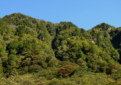 紅葉＿その二