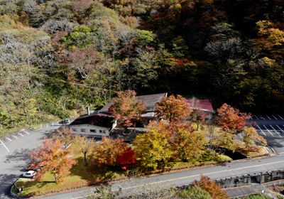 紅葉とドローン＿その三