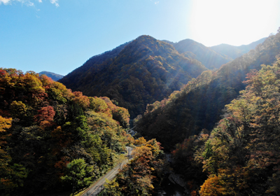 紅葉とドローン＿その四