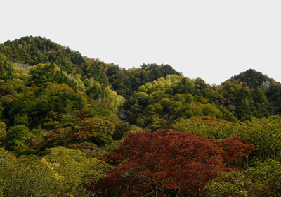 紅葉＿猿ヶ浄土＿その一