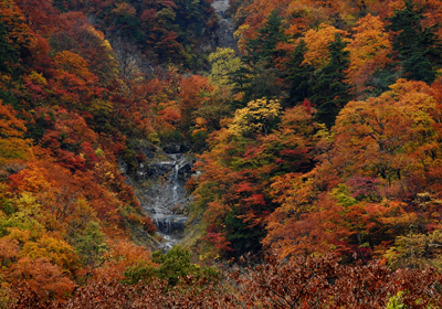 紅葉＿滝