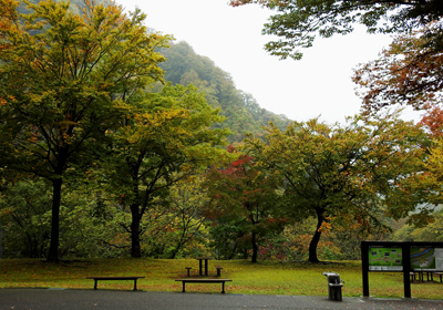 紅葉＿展示館前＿その一