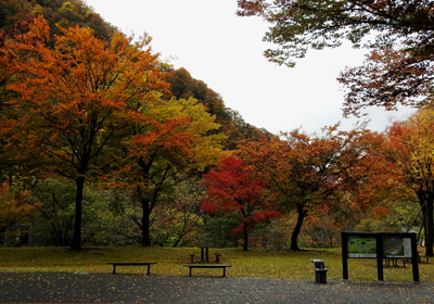 紅葉＿展示館前＿その二