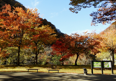 紅葉＿展示館前＿1103