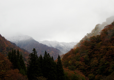 紅葉と雪＿その一