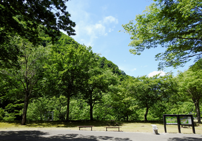 展示館前の広場