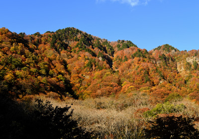 紅葉＿猿ヶ浄土＿その三