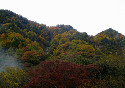 紅葉＿猿ヶ浄土＿その一