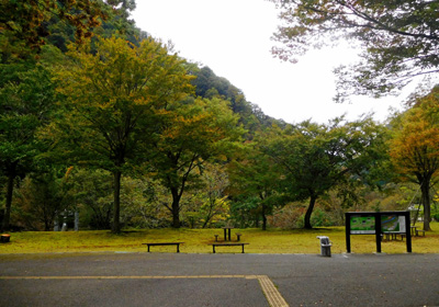 紅葉＿展示館前＿その一