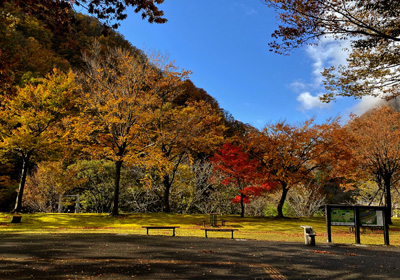 紅葉＿展示館前＿その三