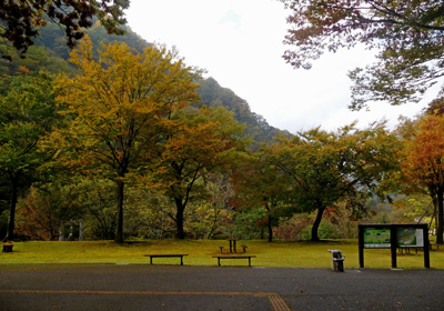 紅葉＿展示館前＿その二