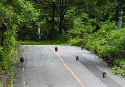 サル＿その三