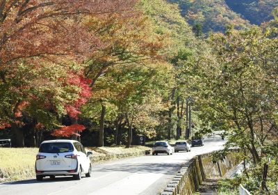 紅葉＿その一