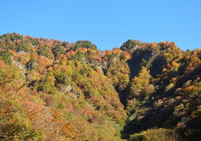 紅葉移り変わり＿猿ヶ浄土＿その二