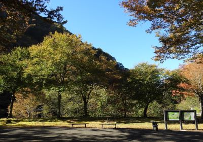 紅葉移り変わり＿展示館前＿その一