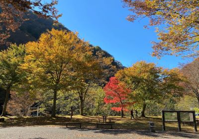 紅葉移り変わり＿展示館前＿その二