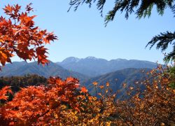 白山白川郷ホワイトロード＿紅葉と白山