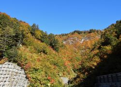 白山白川郷ホワイトロード＿紅葉＿その一