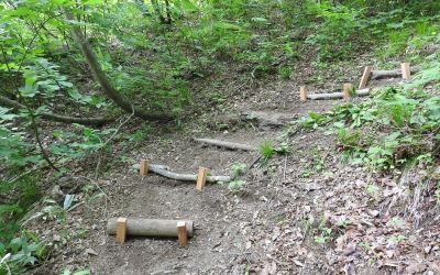 観察路修繕＿その二
