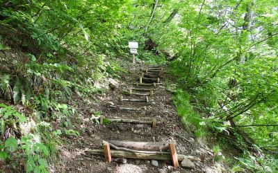 観察路修繕＿その三