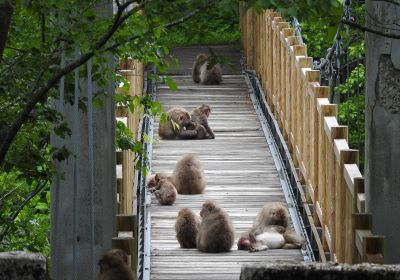サル＿その一